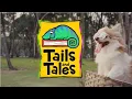 Summer Reading Program 2021 Tails and Tales Promo