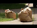 Some Residents Scramble to Find Ways to Remove Yard Waste