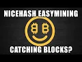 NiceHash EasyMining 2023 Should You Try It