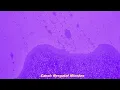Gabriela Rocha - Meu Respirar / Meu Prazer - Playback - Karaokê