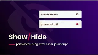Password Show and Hide Using HTML CSS JavaScript Mini Project for Beginner