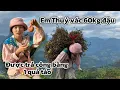 Lagu Thu đậu tương nhầm ngày mưa em Thuỷ phải vác 60kg đi bộ 3km thở không ra hơi !