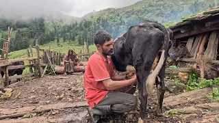 the pastoral life in high altitude || @villagefoodkitchen ||