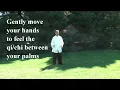 Lagu Tai Chi Qigong Shibashi Set 1 - by Master Wing Cheung