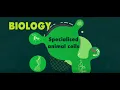 Specialised Animal Cells EXPLAINED - KS3 Science Biology BBC Bitesize