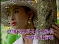 雨中追忆_邓丽君卡拉OK