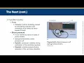 Ch 6 Phlebotomy Essentials 8th edition Lecture
