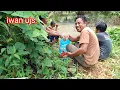 Download Lagu Banjir membawah rejeki bakar bakar ikan dikebun saat berkegiatan