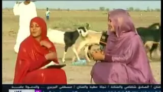 برنامج مشوار قصيدة نضال الحاج 