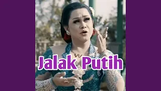 Download Jalak Putih MP3