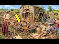 She Bought 80 Multiflora Acres for a Dollar an Acre Her Hogs Rooted It Down to an Old Grist Mill