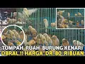 Download Lagu STOCK LUBER SAMPE  TUMPAH LANGSUNG DIOBRAL KENARI BUAT BODI SUPER BESAR !! DI PASAR BURUNG PRAMUKA 