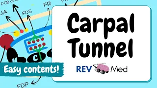 Download Carpal Tunnel Anatomy \u0026 Contents (Easy Lesson) MP3