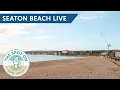 Seaton Beach Live Webcam Spot On Kiosk