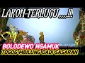TOGOG MBILUNG DADI SASARAN BOLODEWO || wayang kulit Ki Seno Nugroho @wargoseni