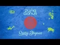 Lagu Zuma Dionys - Soory Dhyaan (Original Mix) [Downtempo / Electronic music]