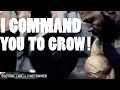 I Command you to Grow Day with CT Fletcher MOTIVATIONAL