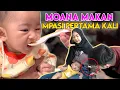 Download Lagu REAKSI MOANA MAKAN PERTAMA KALI.. Bismillah