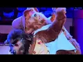 Download Lagu The Country Bears - Let It Ride #thecountrybears