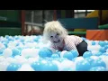 AE Adventure park in Salem OR 97301 USA
