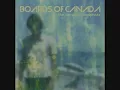 Boards Of Canada - Dayvan Cowboy