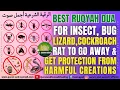Ruqyah Dua for Insect, Bug, Lizard, Cockroach Rat to Go Away \u0026 Get Protection From Harmful Creations
