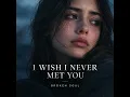 I Wish I Never Met You