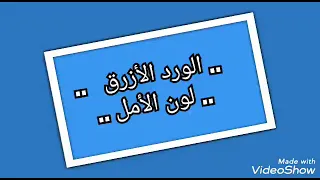 لا تيأس من روح الله أناشيد إسلامية ومقاطع فيديو بدون موسيقى الوردة الزرقاء 