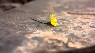 أجمل اهات صوتية حزينة ورائعة     دندنها