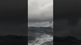 Sailing in the Waves 🌊