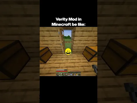 Verity Mod in Minecraft be like: