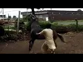 Madi Mari mojma bole re by kirtidan gadhvi