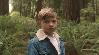into the wild josh baldwin evidence official music video 