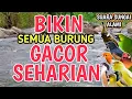 Lagu SANGAT AMPUH‼️ Suara Gemericik Air Sungai Alami Bikin Burung Rajin Bunyi dan Gacor Seharian