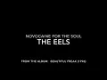 Novocaine for the Soul- The Eels (Lyrics)