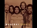 Birdland (Album Version)