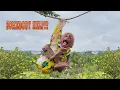 Download Lagu Poor monkey Moon got stuck on a tree while dad is away!