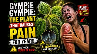 The World's Most Painful Plant: The Terrifying Truth About the Suicide Plant