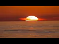David Mrakpor (feat. James Coleman and Blue Lab Beats) - My Life | ♫ RE ♫