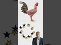 Download Lagu if you can stop the stars at the right spo , the roaster gets back its feathers #roaster #challenge