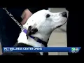 Stockton unveils new pet wellness and adoption center
