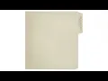 Rex Orange County - Therapy (Audio)