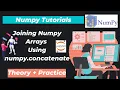 33 Joining Numpy Arrays Using numpy concatenate