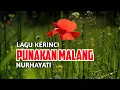 Download Lagu Lagu Kerinci PUNAKAN MALANG || Voc Nurhayati Cipt Ujang Francis