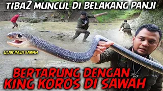 Download PANJI VS KING KOROS ‼️ PERTARUNGAN SENGIT SAMPE LARI2AN DI SAWAH ... MP3