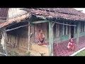 Download Lagu Sore Hari Di Kampung Terpencil Pinggir Hutan Orang-orang Sudah Santai Di Depan Rumah Adem Ayem 