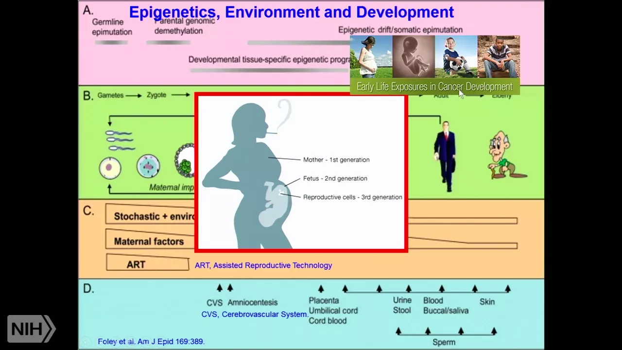 TRACO 2017: Epigenetics and Case reports