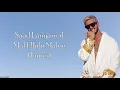 Saad Lamjarred - MAL HBIBI MALOU (Lyrics / Paroles)