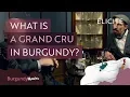 What Is A Burgundy Grand Cru Wine