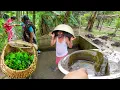 Download Lagu বৃষ্টিতে ভিজে ভিজে শাক তোলো ও মাছ ধরার মজাই আলাদা |